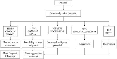 Is DNA Methylation a Ray of Sunshine in Predicting Meningioma Prognosis?